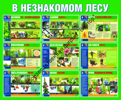 Стенд «В незнакомом лесу»