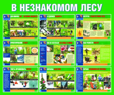 Стенд «В незнакомом лесу»