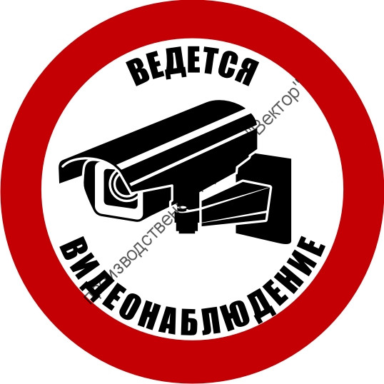 Знак «Ведётся видеонаблюдение» (TV13)