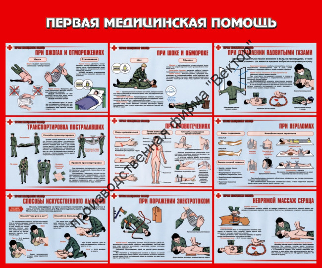 Стенд «Первая медицинская помощь»