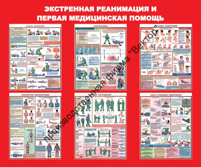 Стенд «Экстренная реанимация и первая медицинская помощь» Стенд «Экстренная реанимация и первая медицинская помощь»