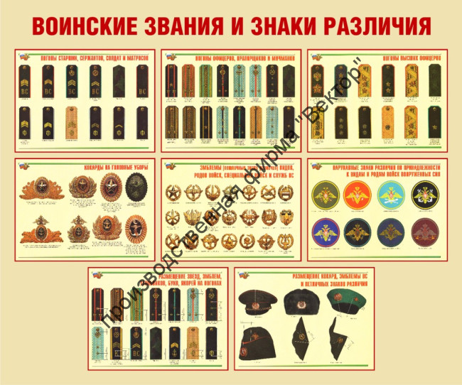 Стенд «Воинские звания и знаки различия»