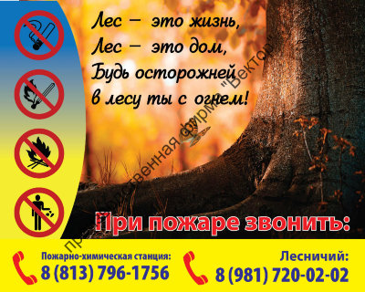 Аншлаг для лесхозов. Вариант 3.