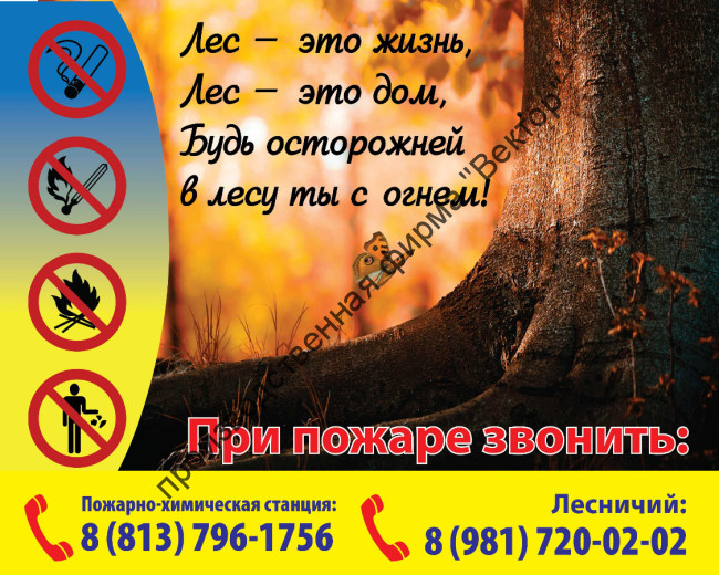 Аншлаг для лесхозов. Вариант 3.
