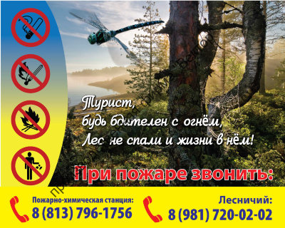 Аншлаг для лесхозов. Вариант 5.