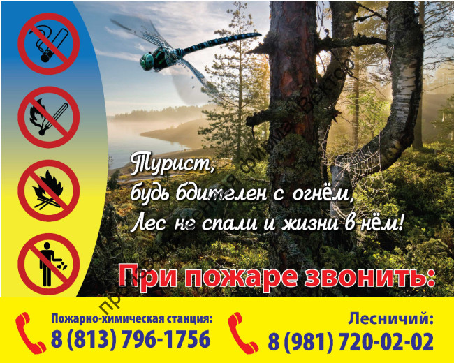 Аншлаг для лесхозов. Вариант 5.