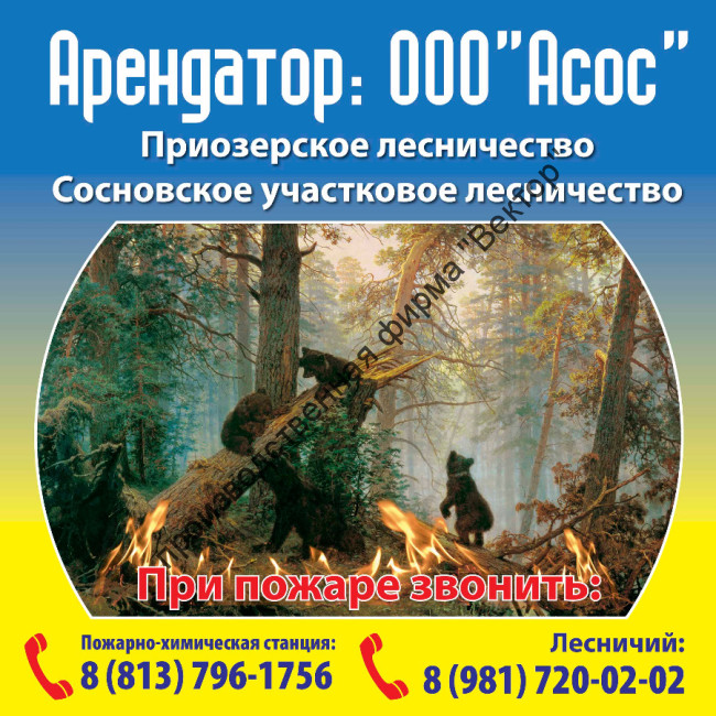 Аншлаг для лесхозов. Вариант 13.