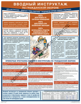 «Вводный инструктаж по гражданской обороне». 1 плакат.