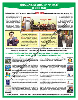 «Вводный инструктаж по охране труда». 1 плакат.